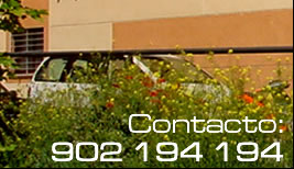 Informacion 902 194 194
